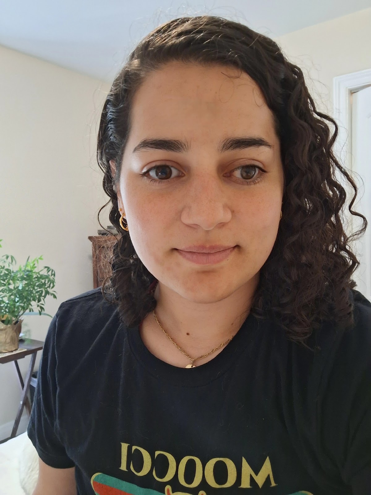 Diana J. Hakim